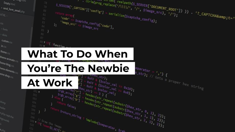 Tips for newbie software engineers
